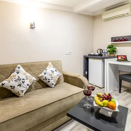 Отель Hotels And Suites Platine Стамбул