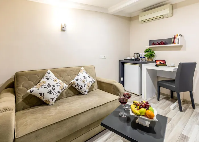 Отель Hotels And Suites Platine Стамбул