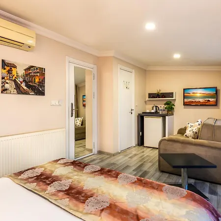 Hotels And Suites Platine Hotel Istambul
