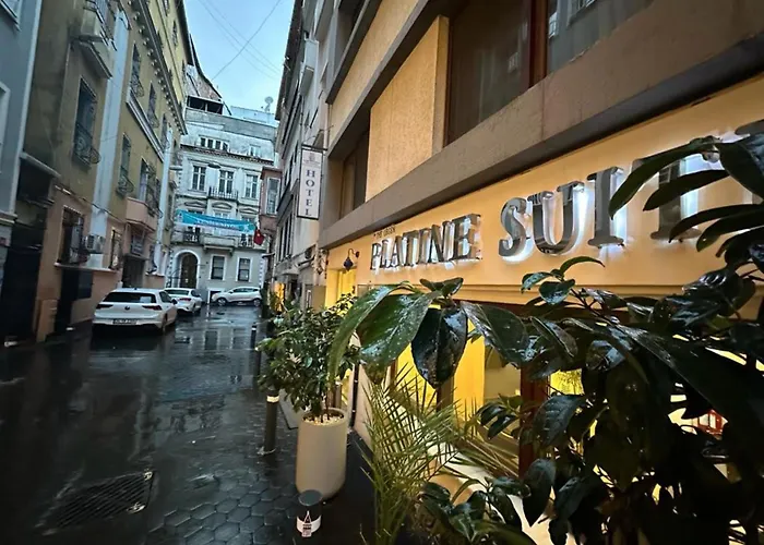 Hotel Hotels And Suites Platine